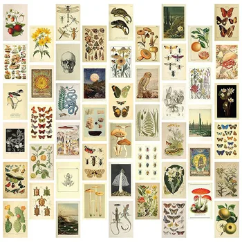 Starinski Estetski set za zidnu kolaž - 50 mini-plakata s botaničkim коллажем Cottagecore (4x6 cm), za modne фотостены