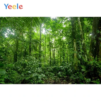 Godina Tropskih Šuma Džungla Zeleno Lišće Priroda Krajolik Dječji Portret Von Vinil Pozadina Fotografije Za Foto-Studio